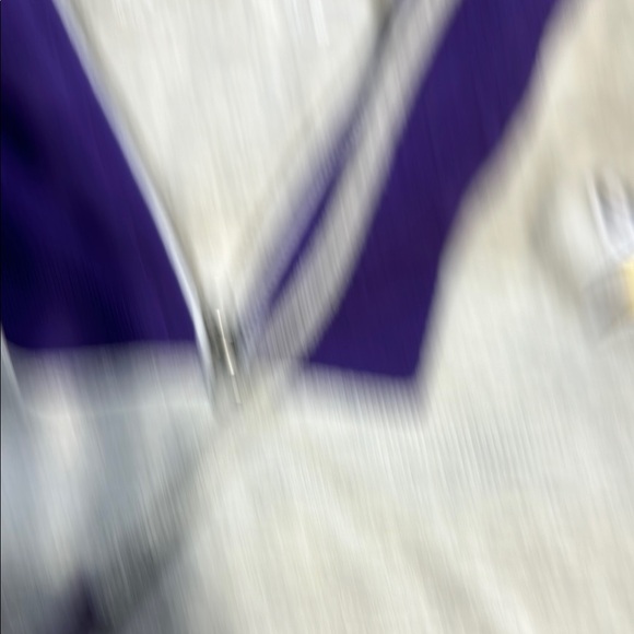 Minnesota Vikings Hoodie - Picture 3 of 5